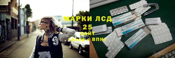 PSILOCYBIN Вяземский