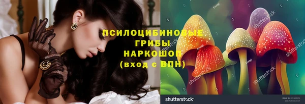 PSILOCYBIN Вяземский