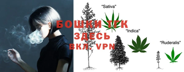 PSILOCYBIN Вяземский