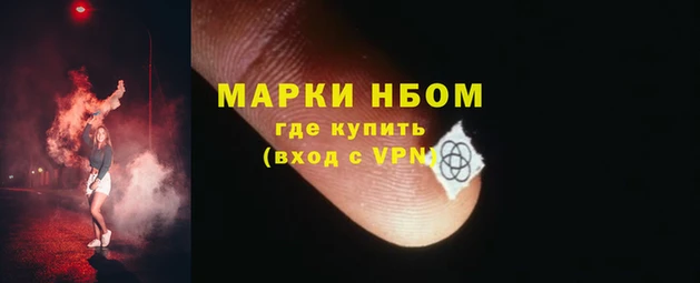 PSILOCYBIN Вяземский