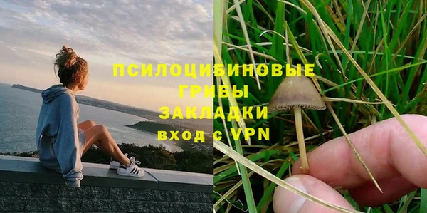 марки lsd Горняк