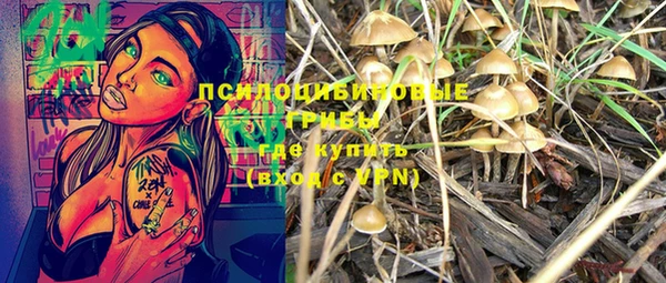 PSILOCYBIN Вяземский